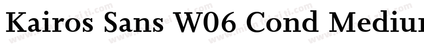 Kairos Sans W06 Cond Medium字体转换